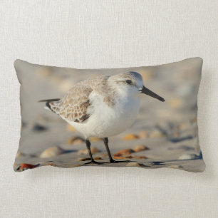 Sand Piper and Seashells Lumbar Pillow