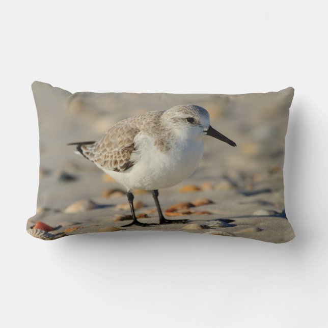 Sand Piper and Seashells Lumbar Pillow (Front)
