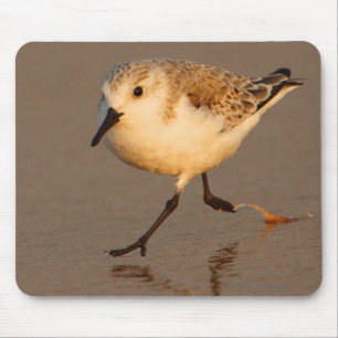 Sand Piper Mouse Pad