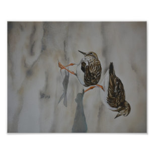 Sand Pipers Bird Art Reproduction Photo Print