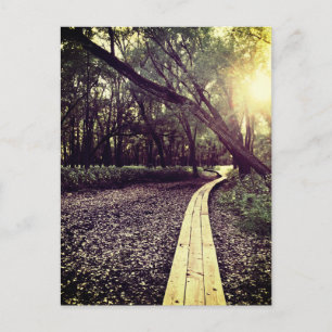 sand point trail minnesota postcard