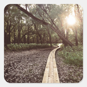 sand point trail minnesota square sticker