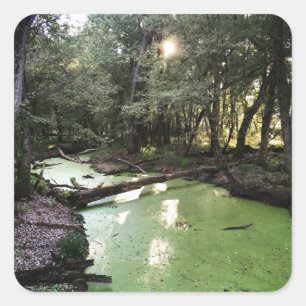 sand point trail square sticker