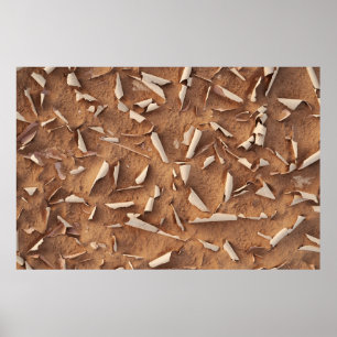 Sand Poster