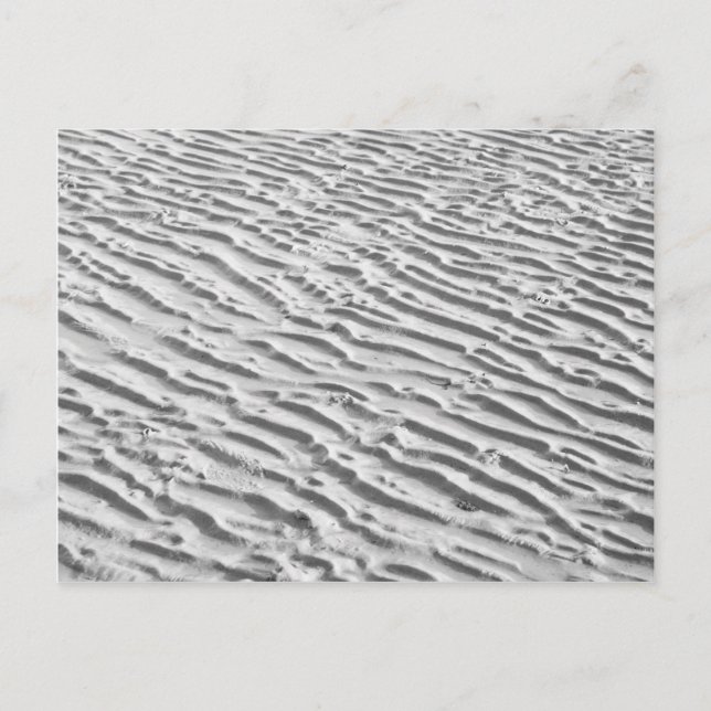 Sand Ripples Postcard (Front)