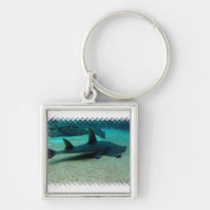 Sand Shark Keychain