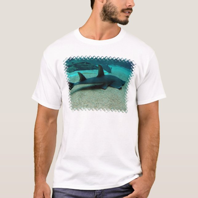 Sand Shark Men's T-Shirt (Front)