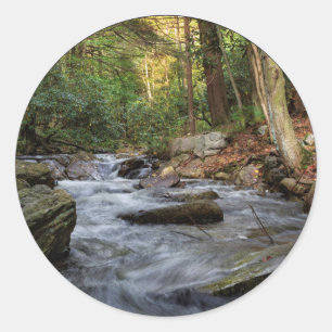 Sand Spring Run, Hickory Run State Park Classic Round Sticker