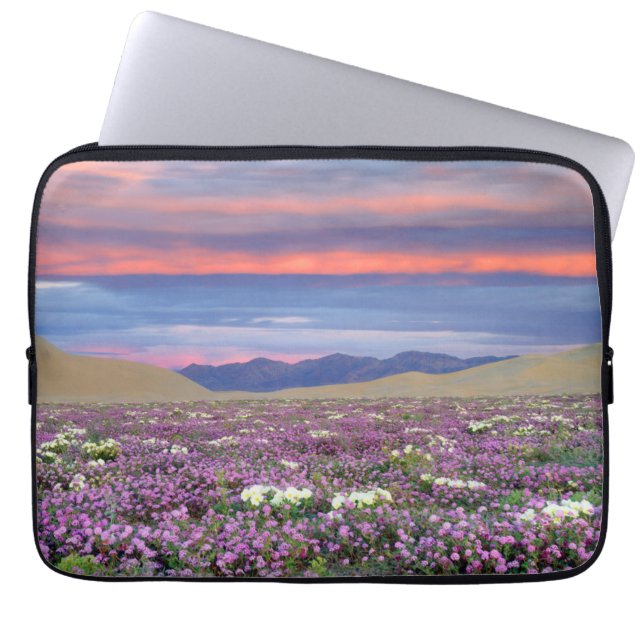 Sand Verbena & Dune Primrose Wildflowers at Sunset Laptop Sleeve (Front)