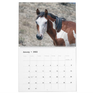 Sand Wash Basin 2021 Calendar
