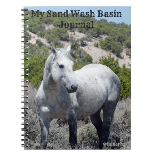 Sand Wash Basin Journal