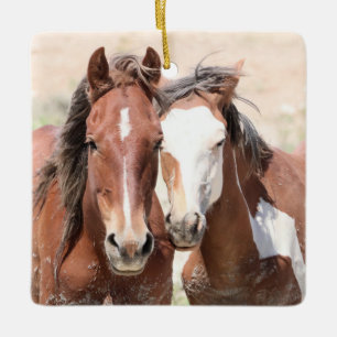 Sand Wash Basin Wild Horses Ceramic Ornament