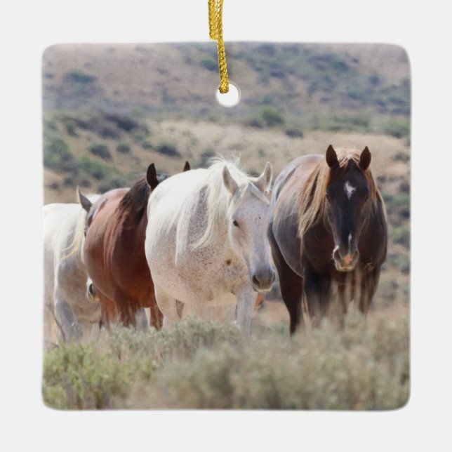 Sand Wash Basin Wild Horses Ceramic Ornament (Front)