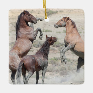 Sand Wash Basin Wild Horses Ceramic Ornament
