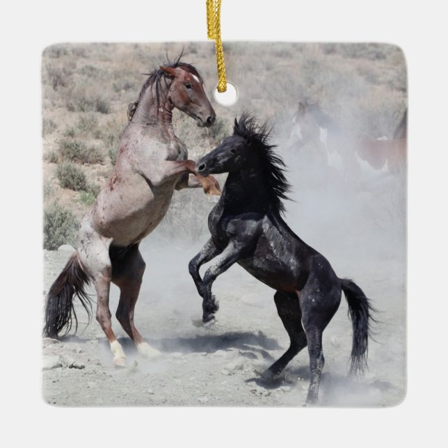 Sand Wash Basin Wild Horses Ceramic Ornament (Front)