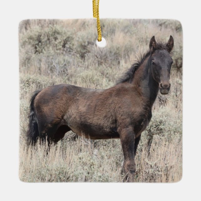 Sand Wash Basin Wild Horses Ceramic Ornament (Front)