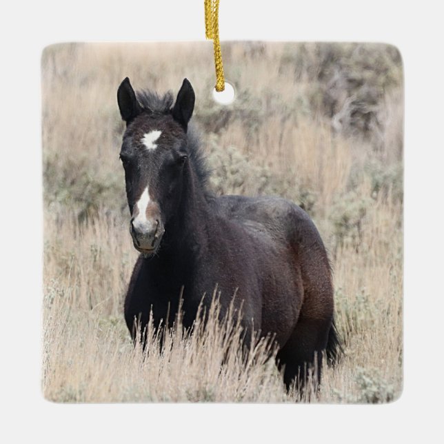 Sand Wash Basin Wild Horses Ceramic Ornament (Front)