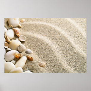 Sand With Shells And Stones. Beach Composition Poster
