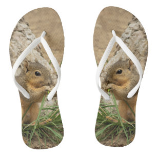 Sandales à tongs d'écureuil