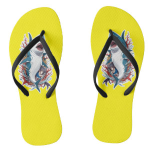 Sandales de dauphin et tongs