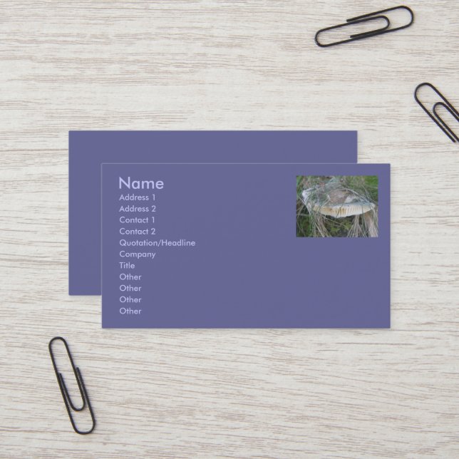 Sandbank Mushroom Business Cards (Front/Back In Situ)