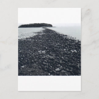 Sandbar Postcard