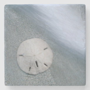 Sanddollar on Beach   Sanibel Island, Florida Stone Coaster