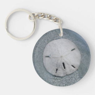 Sanddollar sur la plage  Île de Sanibel, Floride