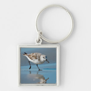 Sanderling (Calidris Albe) Feeding On Wet Beach Keychain