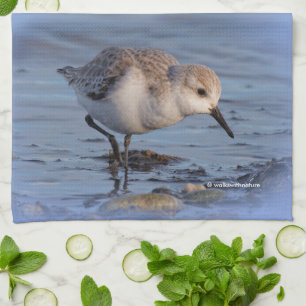 Sanderling Strolling a Winter Beach Kitchen Towel