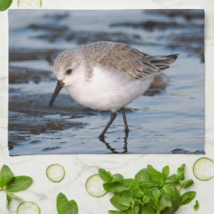 Sanderling Strolling on a Winter Beach Kitchen Towel