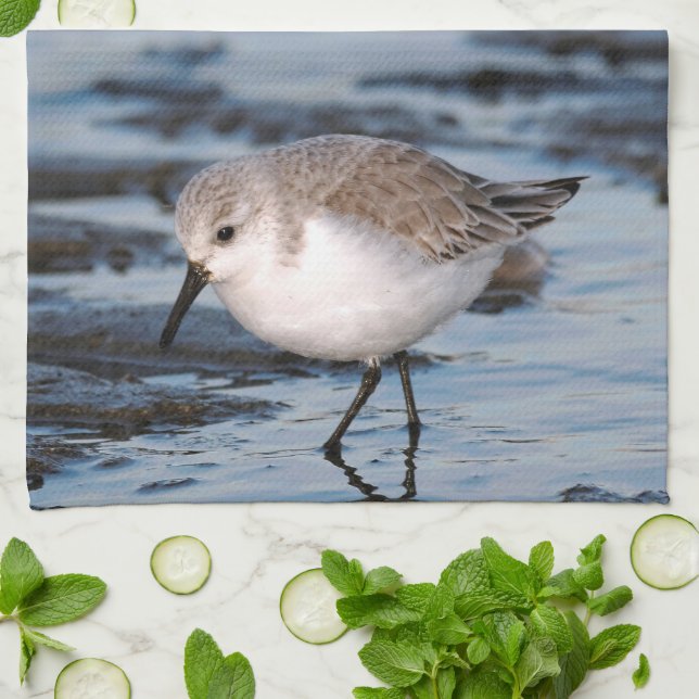 Sanderling Strolling on a Winter Beach Kitchen Towel (Folded)