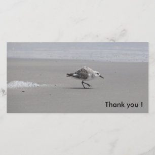 Sanderling, Thank you ! Card