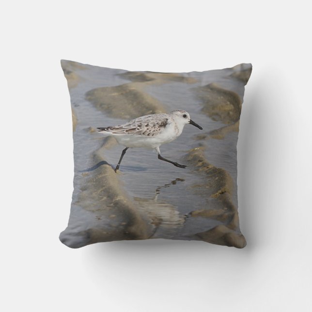 Sanderling Throw Pillow (Front)