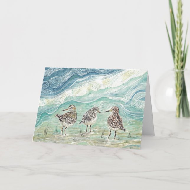 Sanderlings sur la plage - carte de voeux vierge (Devant)
