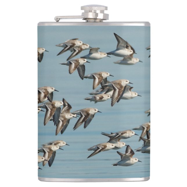 Sanderlings Take Flight in the Winter Skies Hip Flask (Front)