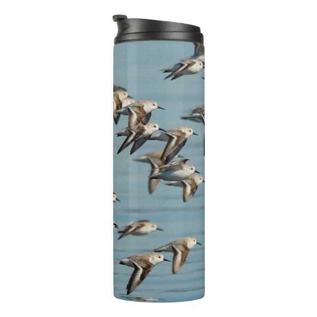 Sanderlings Take Flight in the Winter Skies Thermal Tumbler (Rotated Right)