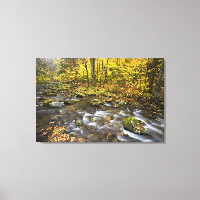 Sanderson Brook.  Chester-Blanford State Forest. Canvas Print (Front)