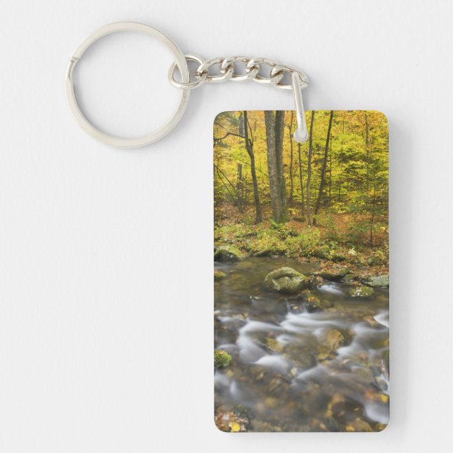 Sanderson Brook.  Chester-Blanford State Forest. Keychain (Front)