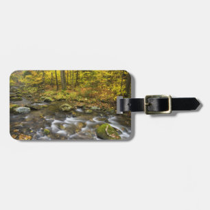 Sanderson Brook.  Chester-Blanford State Forest. Luggage Tag