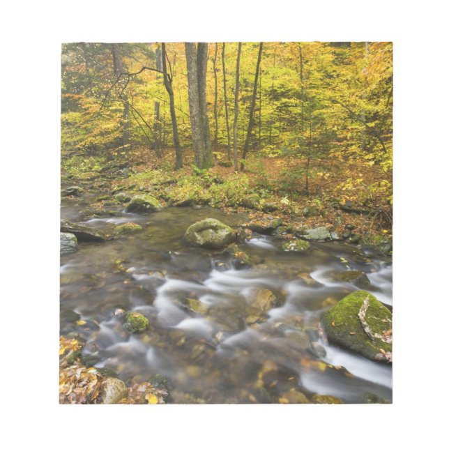 Sanderson Brook.  Chester-Blanford State Forest. Notepad (Front)