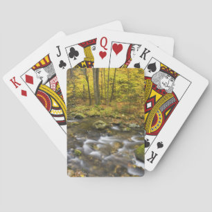 Sanderson Brook.  Chester-Blanford State Forest. Playing Cards
