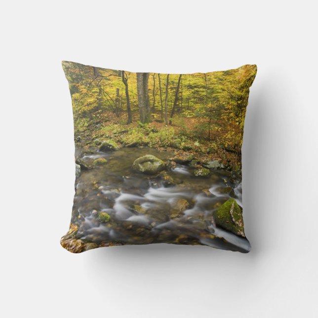 Sanderson Brook.  Chester-Blanford State Forest. Throw Pillow (Front)