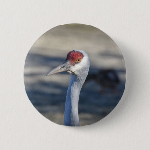 Sandhill Crane 2 Inch Round Button