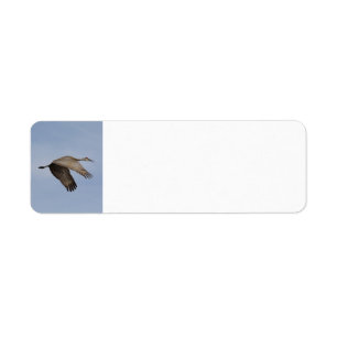 Sandhill Crane address label