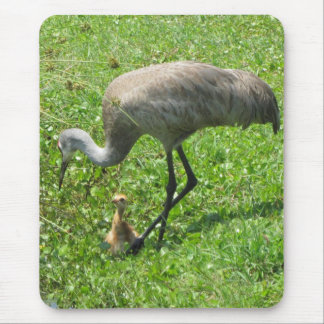 Sandhill Crane and Chick Mouse Pad
