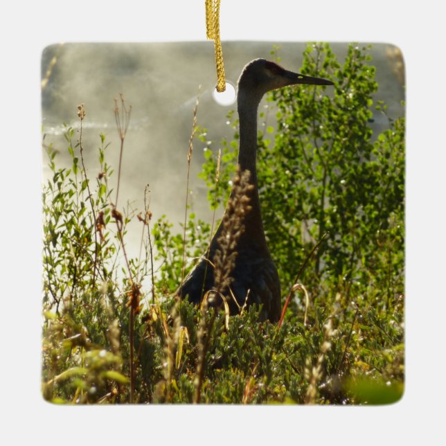Sandhill Crane at Moose Ponds in Grand Teton Ceramic Ornament (Front)