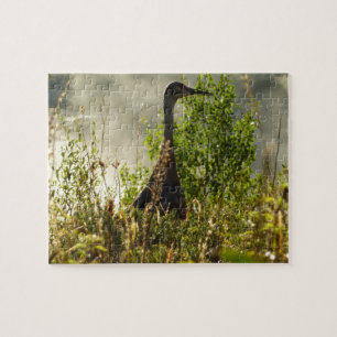 Sandhill Crane at Moose Ponds in Grand Teton Jigsaw Puzzle