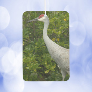 Sandhill Crane Bird Greenery Photograph Air Freshener