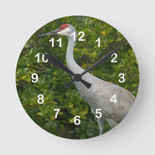 Sandhill Crane Bird Photo Round Clock (Front)
